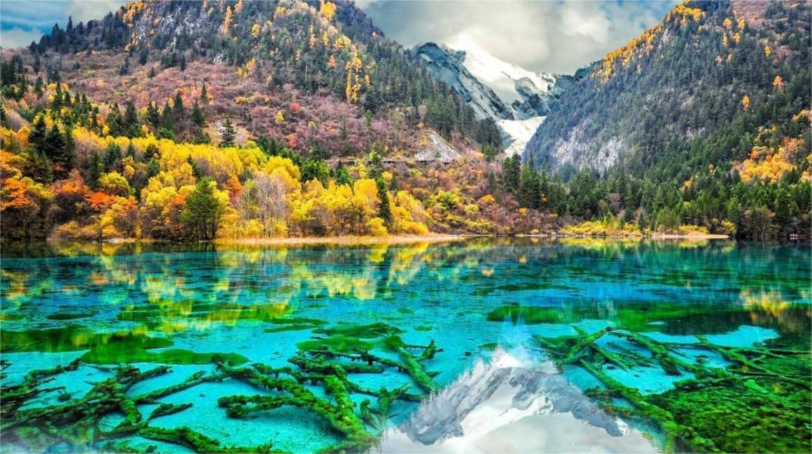 Jiuzhaigou: A Natural Wonderland of Scenic Beauty