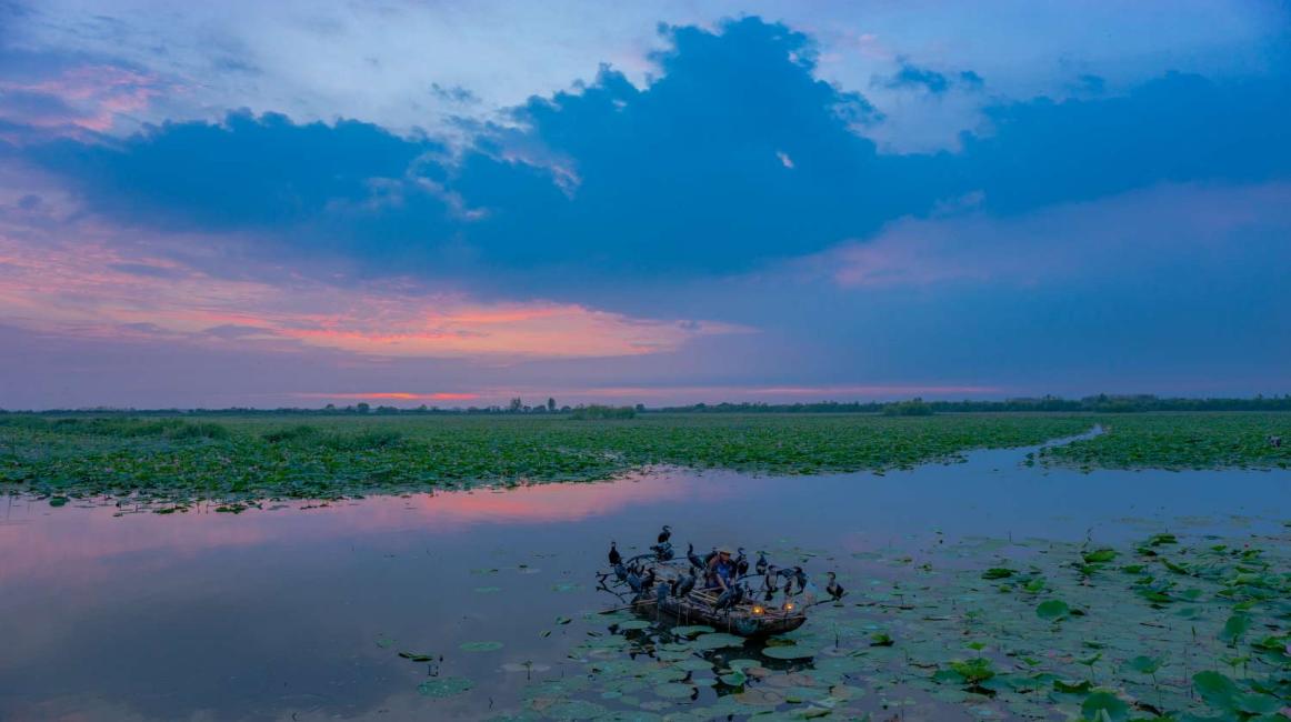 The Splendor of Weishan Lake: A Natural Gem in Shandong Province