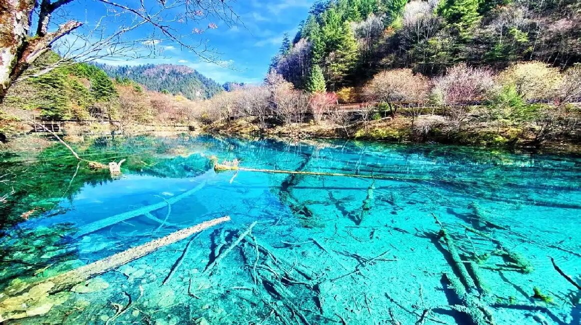 Jiuzhaigou: A Symphony of Nature's Palette and Culinary Delights