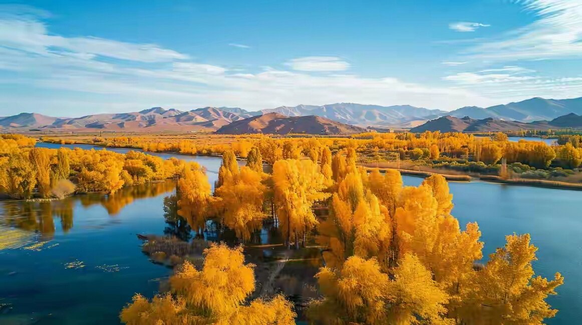 The Golden Sentinels of Southern Xinjiang: Populus Euphratica's Autumnal Splendor