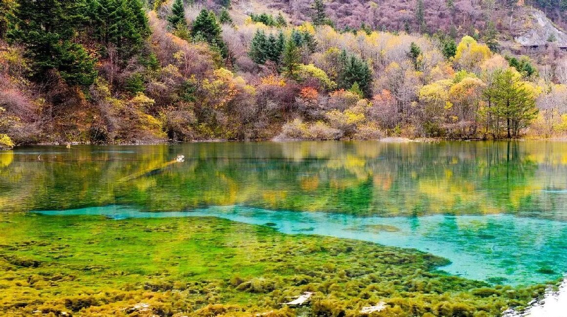 The Hidden Paradise of Daocheng Yading