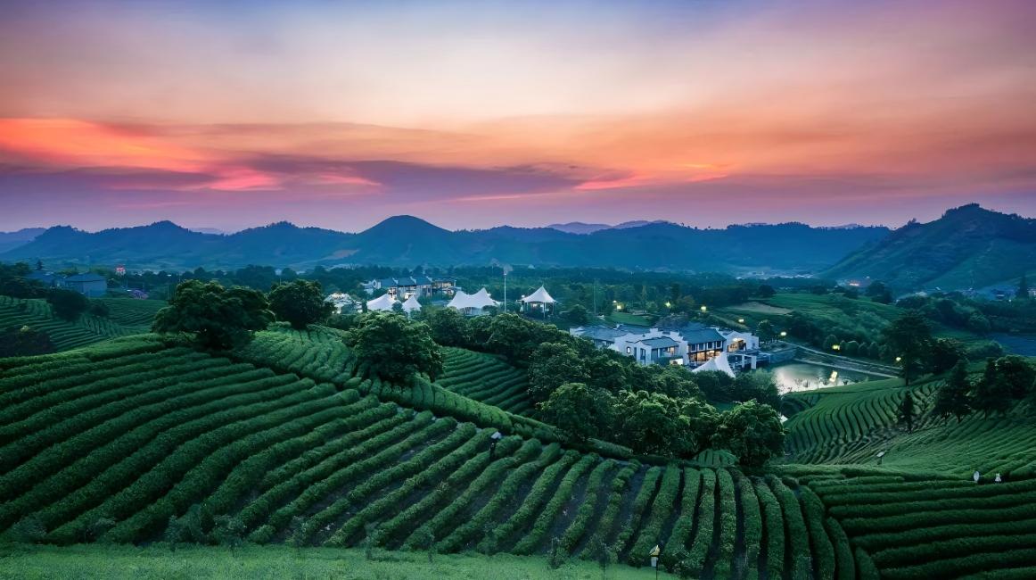 Anji: Where Bamboo Whispers and History Resonates