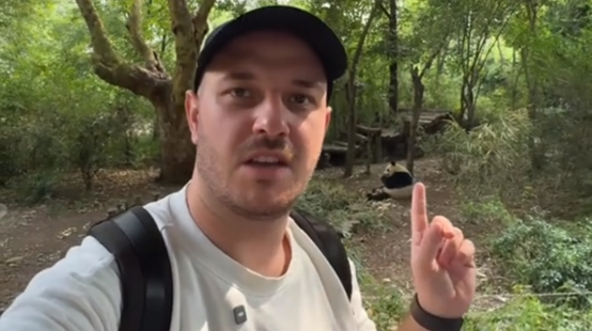 Go to Chengdu, China to see giant pandas