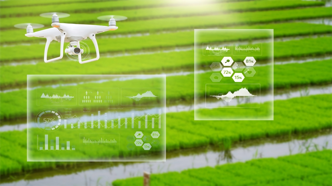 Technology Empowers the Fields: China's Smart Agriculture Marches Toward High-Quality Development