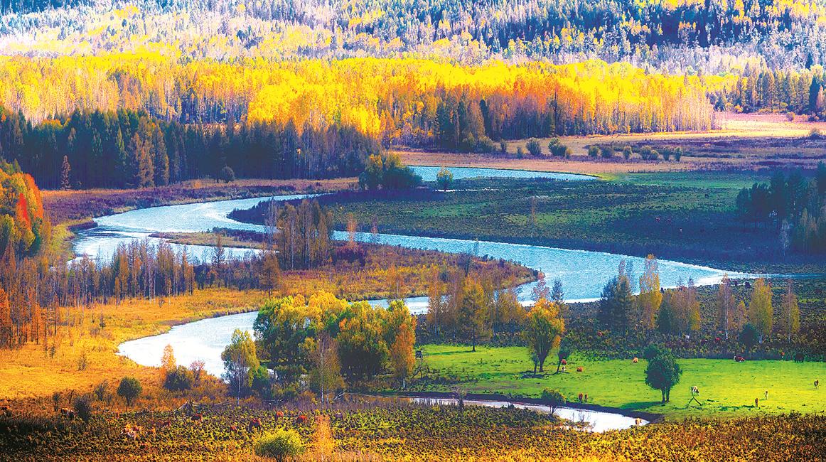 The Great Khingan Range: A Symphony of Wilderness and Resilience