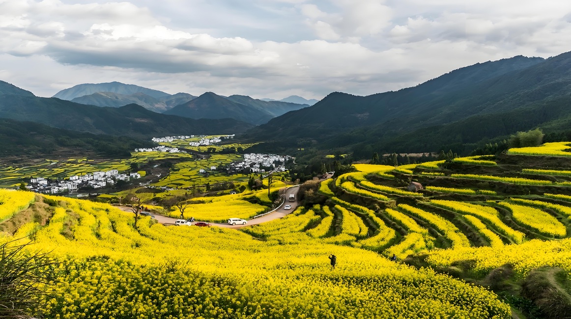 The Chapter of Enjoying Flowers in Spring: The Romance of Spring Begins Here