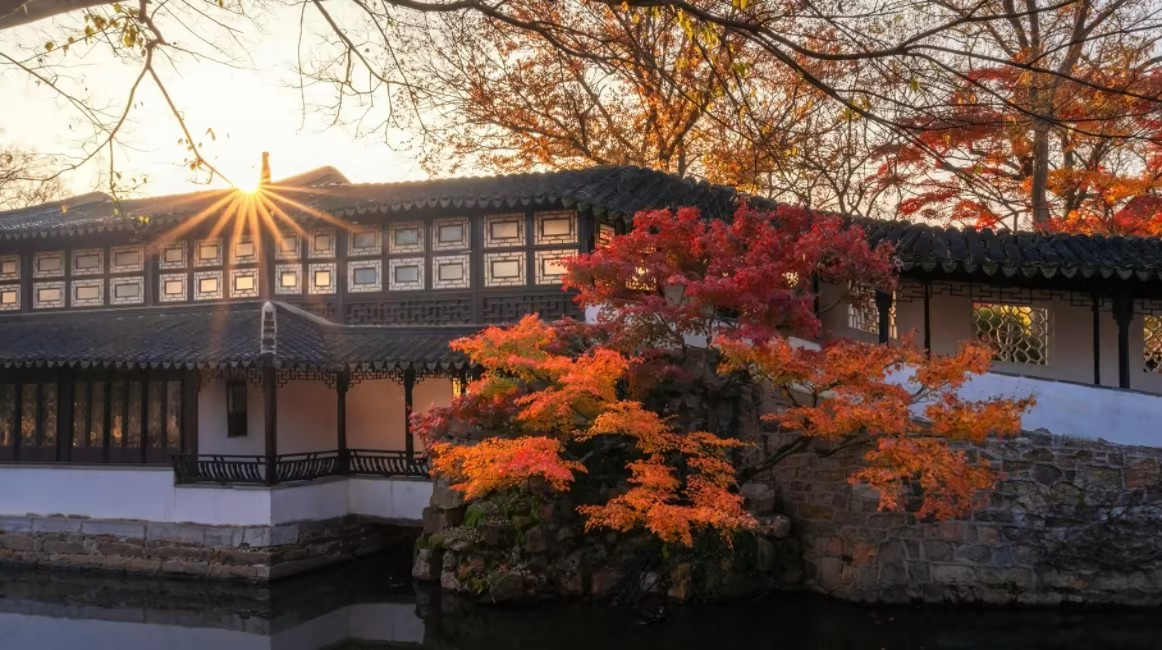 A Symphony in Stone and Water: The Classical Gardens of Suzhou
