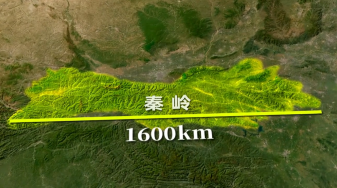 The Dragon Vein of China — Qinling Mountains