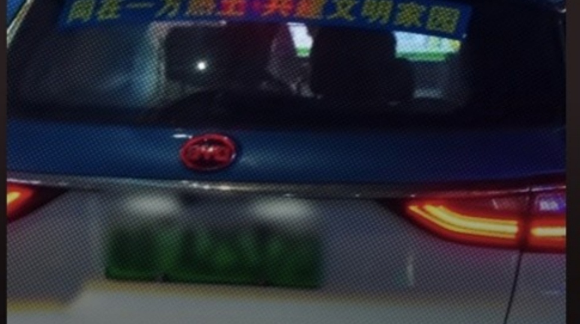 The development of China's electric vehicles