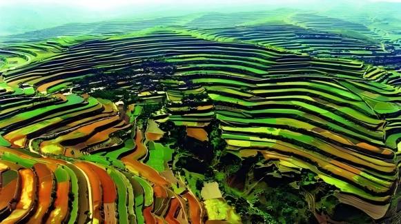 Gannan’s Terraced Field Cake