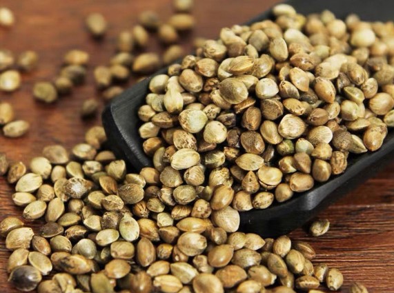 Hemp seeds on the longevity-promoting dining tables of Bama