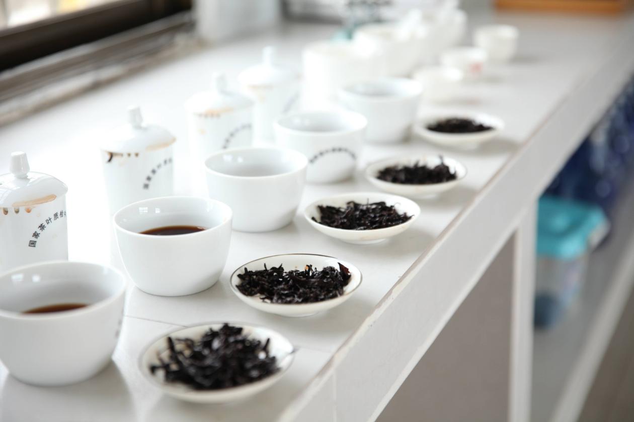 da50e1e893f97fa0987c7ae81049cc3b