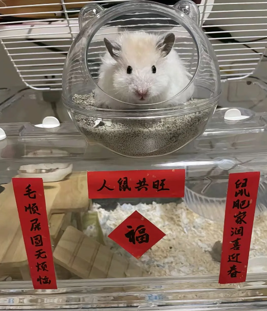 ScreenShot_2026-02-09_100949_736