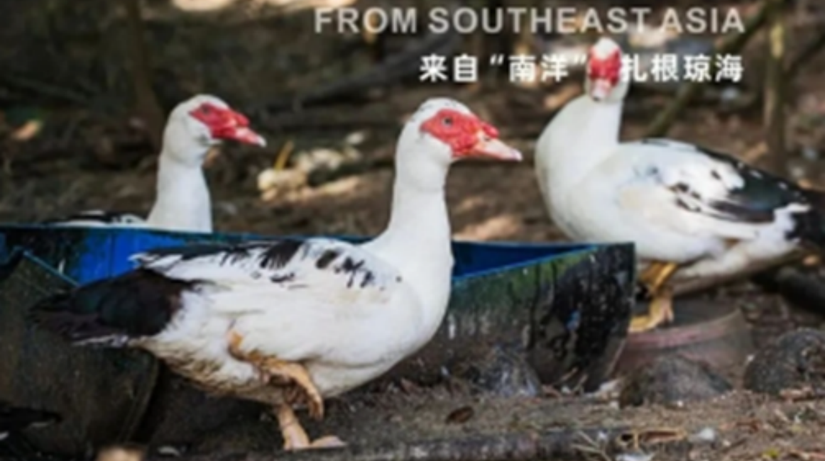 图片 2