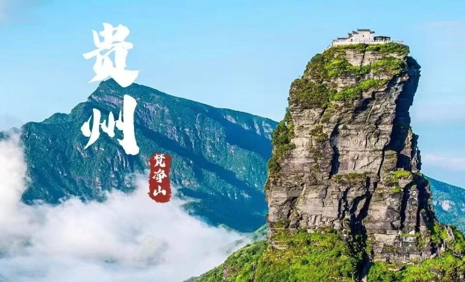 微信图片_20260626223452_3366_5