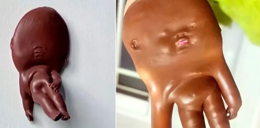 The Debate Over the Boundaries of Stress-Relief Toys and Children's Empathy
