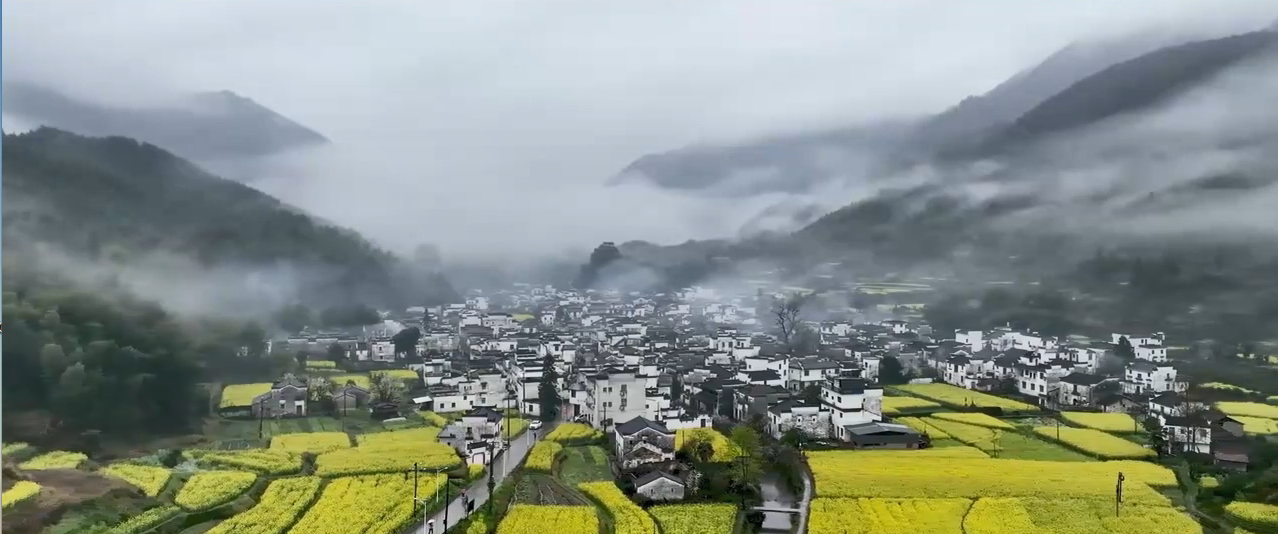Wuyuan–Rapeseed Flowers