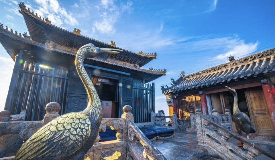 微信图片10