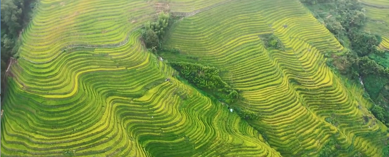 Guilin — Longji Terraced Rice Fields